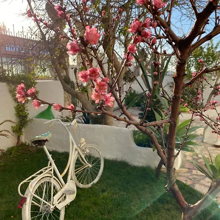 Hotel La Porta Del Mare 3*